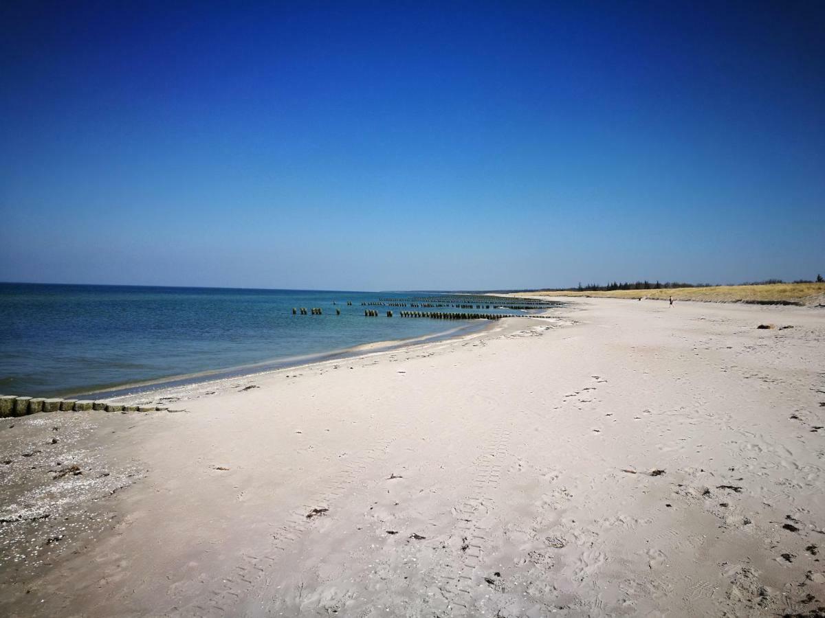 Darsser Strandgut - Haus Ahrenshooper Holz Dış mekan fotoğraf