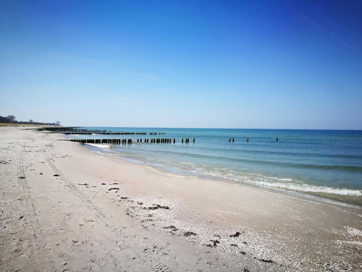 Darsser Strandgut - Haus Ahrenshooper Holz Dış mekan fotoğraf